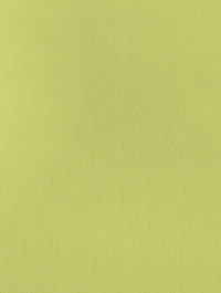 Crystal Lattice Knit Midi Skirt