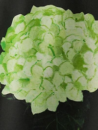 Degradé Mikado Dress Hydrangea Print
