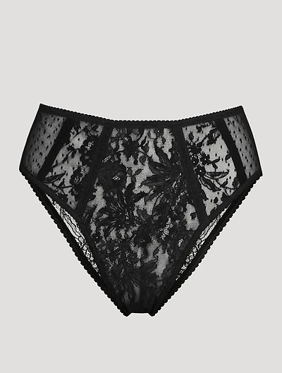 Plumetis Lace Briefs