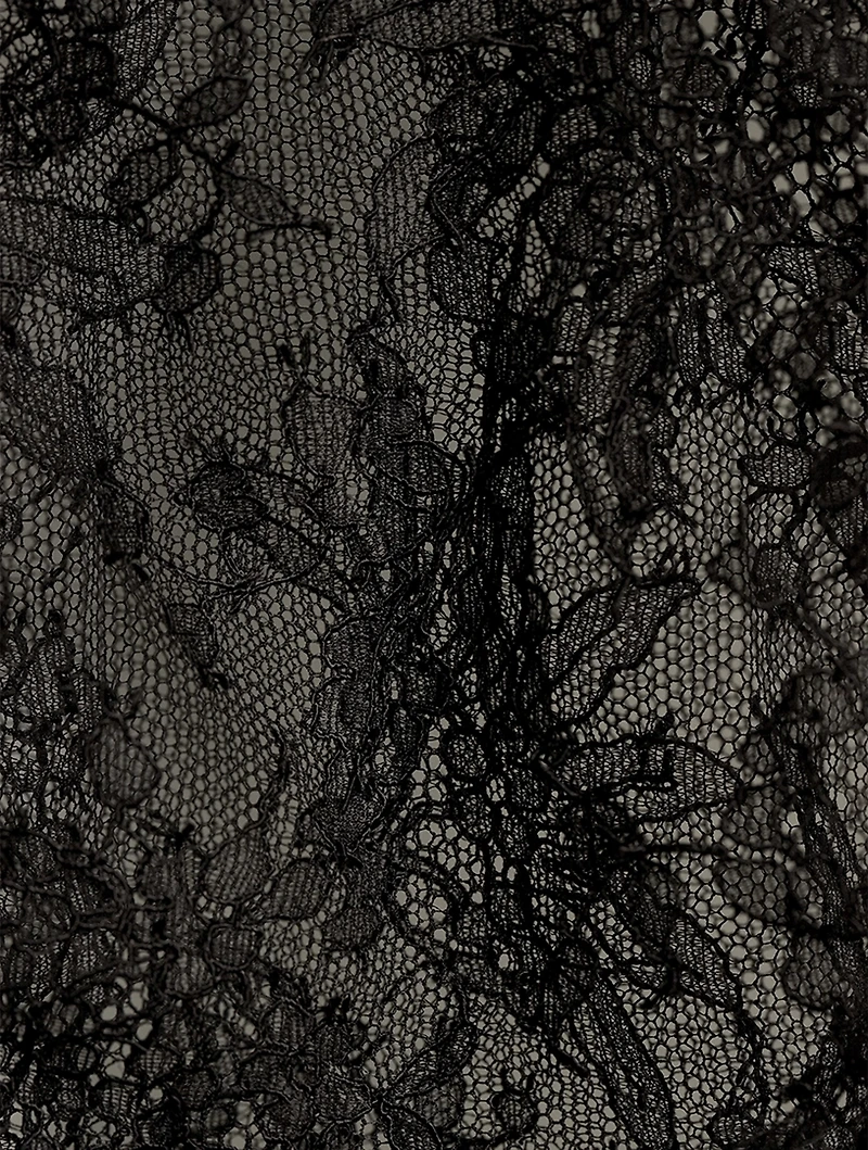 Plumetis Lace Briefs