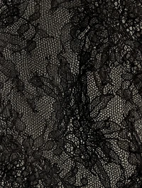 Plumetis Lace Briefs