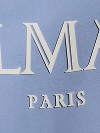 Roman Rubber Logo Cropped Hoodie