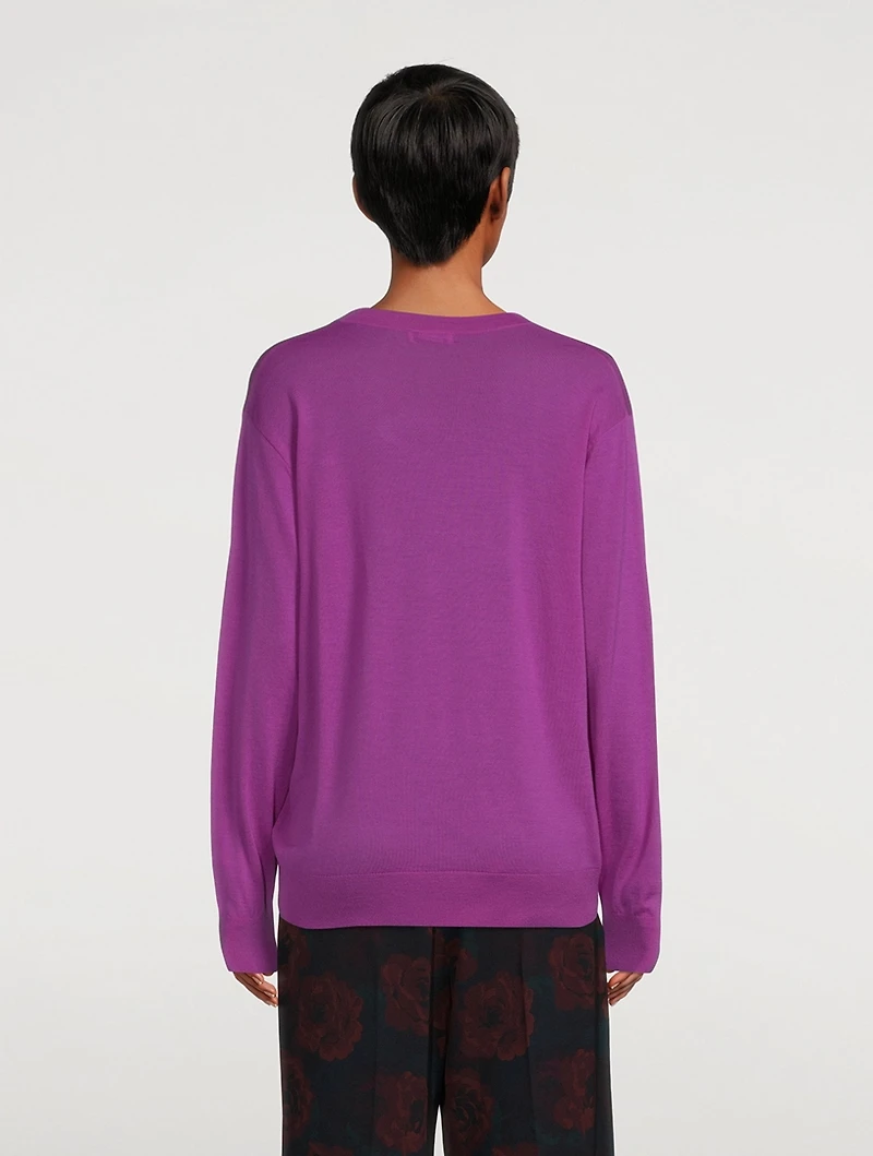 Tuna Merino Wool V-Neck Sweater