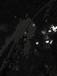Seb Sequin Blouse