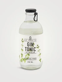 Alcohol Free Gin Tonic