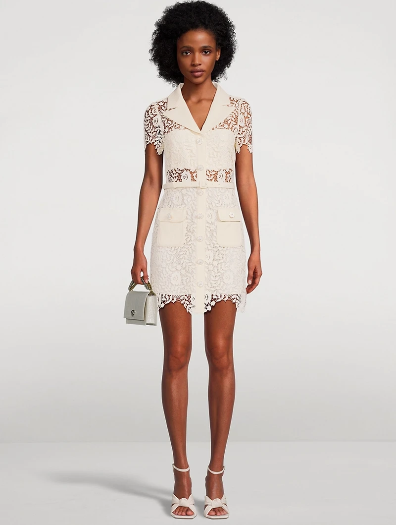 Rose Lace Mini Dress