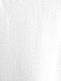Elisabeth Ruffle Chemise