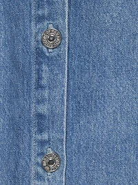 Danni Denim Shirt Dress