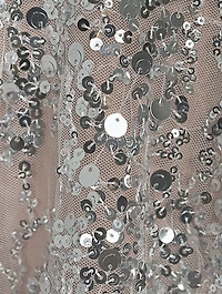 Midnight Embellished Gown