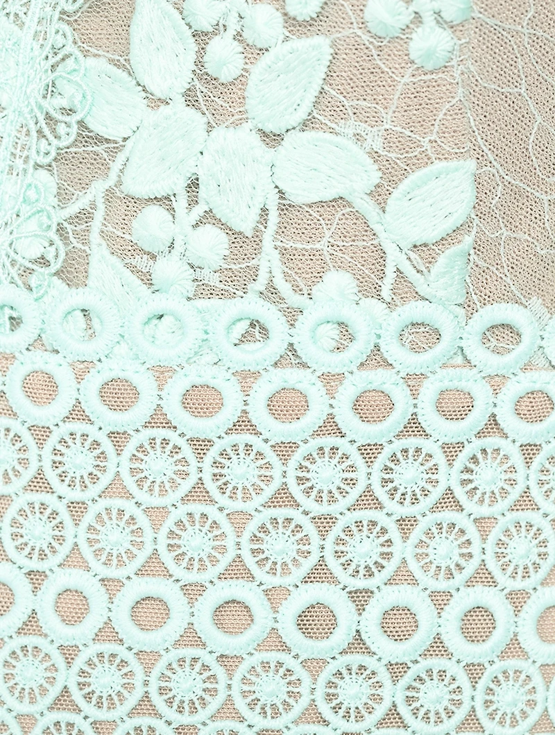 Megan Floral Appliqué Tulle Mini Dress