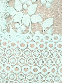 Megan Floral Appliqué Tulle Mini Dress
