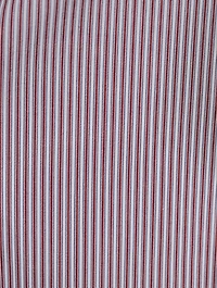 Shan Poplin Shirt Stripe Print