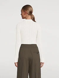 Variegated Rib Polo Sweater