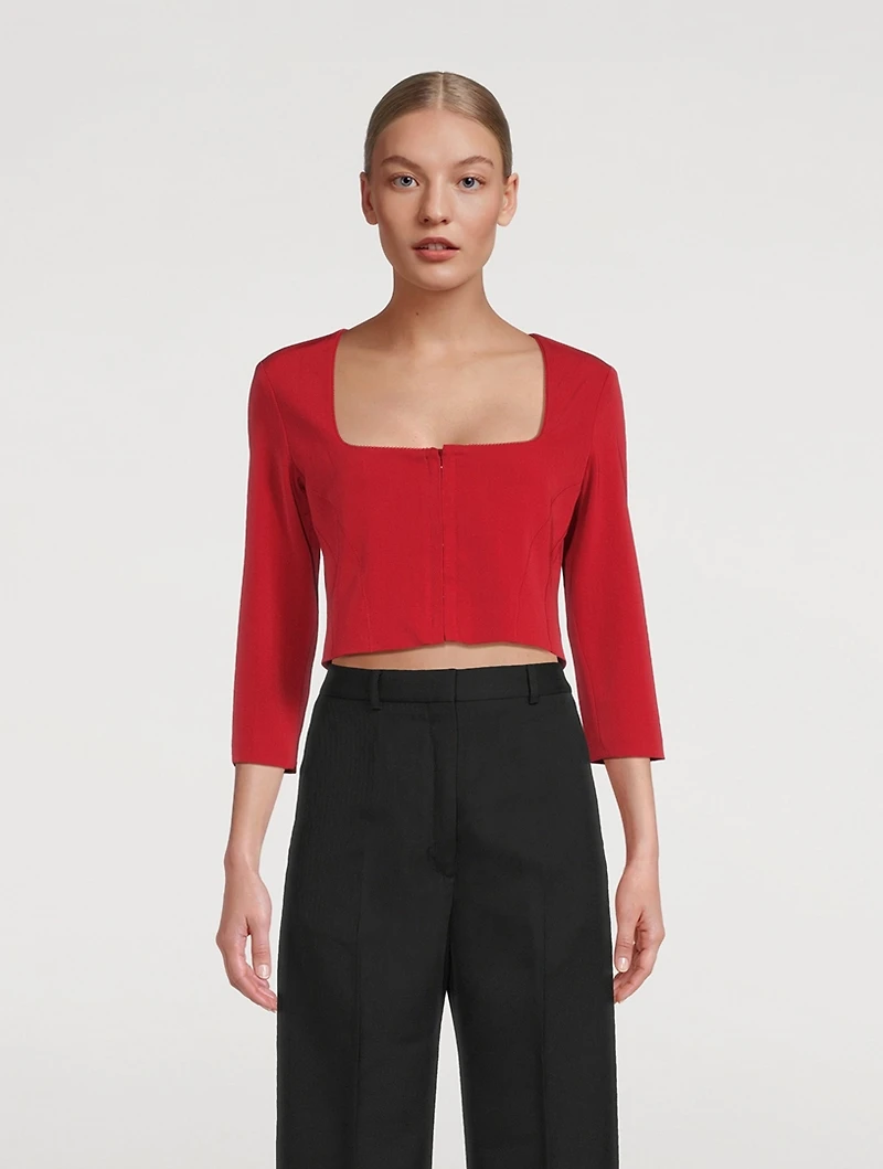 Corset Crop Top