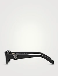 Oval Cat Eye Sunglasses