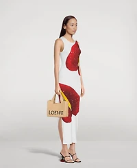 Loewe x Paula’s Ibiza Small Raffia Tote Bag