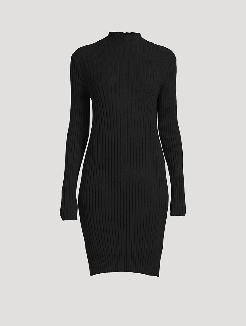 Diolette Silk Knit Mini Dress