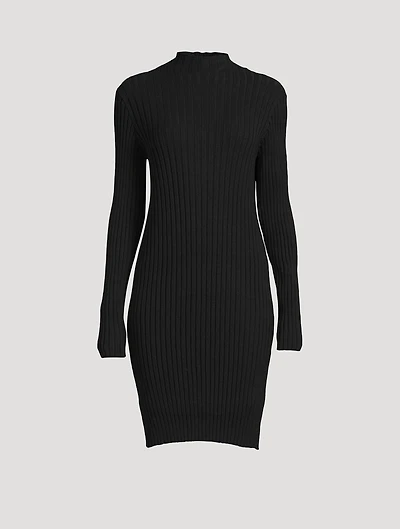 Diolette Silk Knit Mini Dress