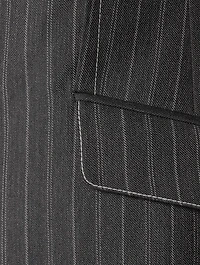 Gamela Blazer Pinstripe Print