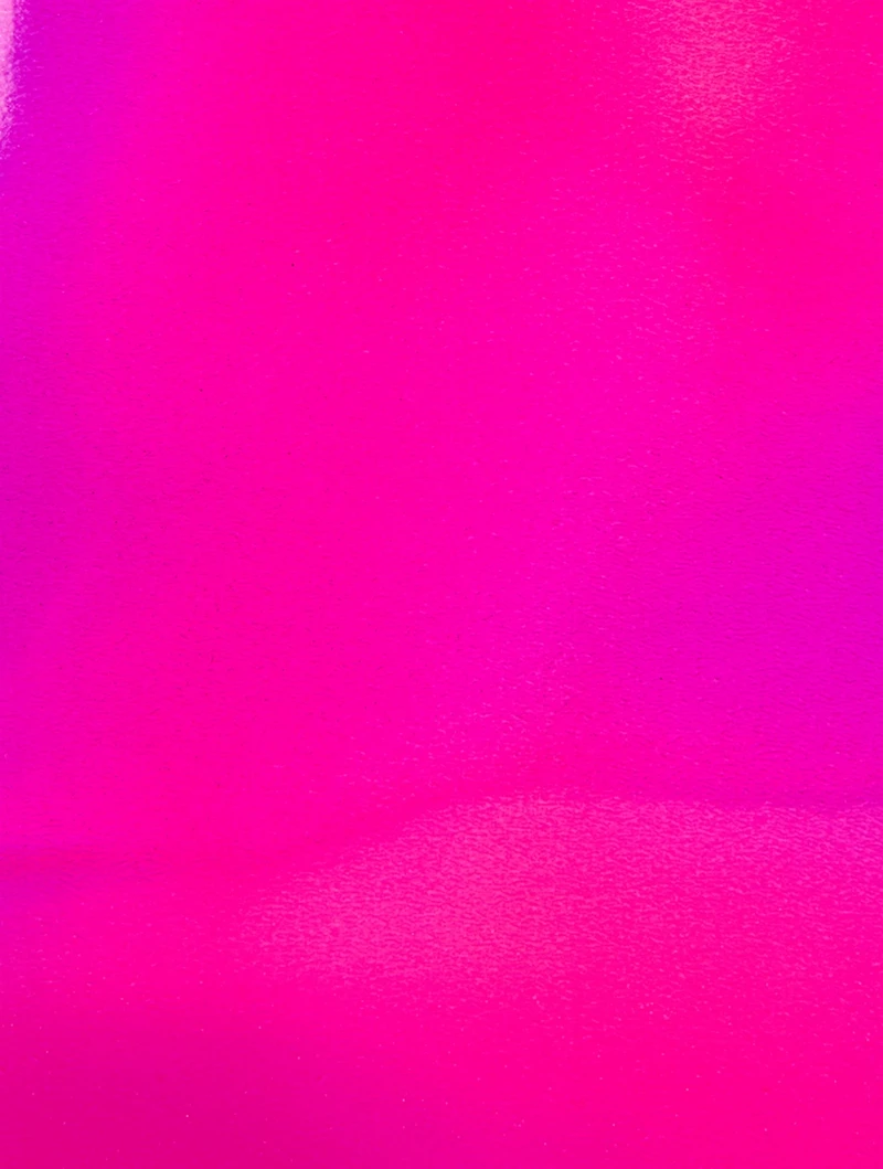 Dulce Iridescent Shoulder Bag