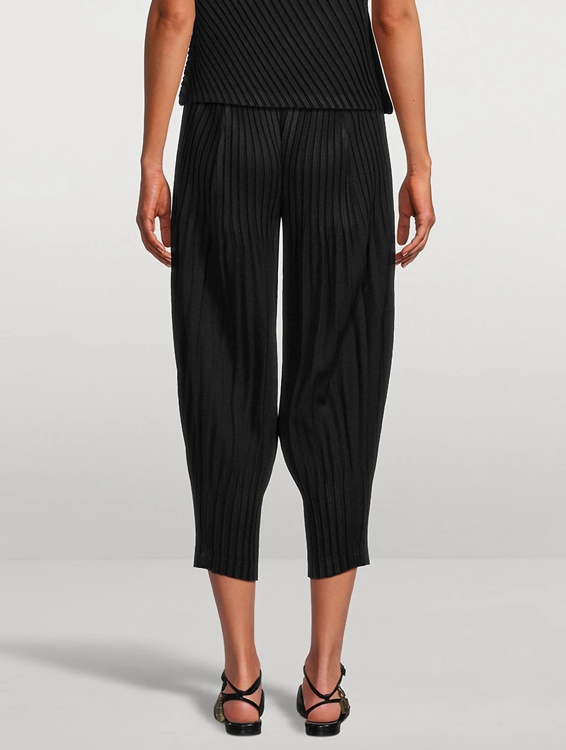 Linen Like Pleats Pants