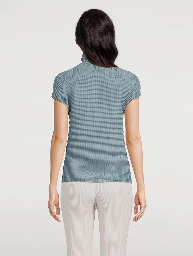 Wooly Pleats Turtleneck Top