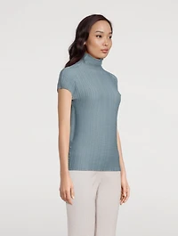 Wooly Pleats Turtleneck Top