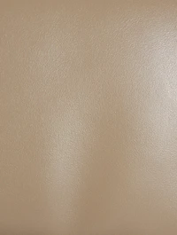 Small Leather Prisma Bag