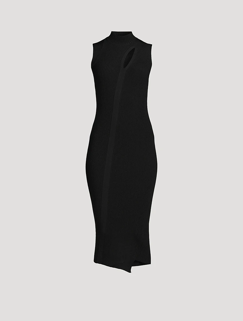 Slashed Turtleneck Midi Dress