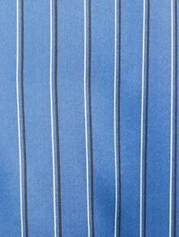 The Standard Silk Shirt Stripe Print