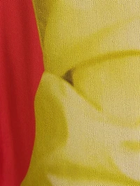 Trompe L'œil Mesh Top