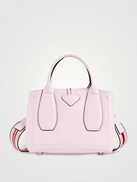Roseau Box Leather Top Handle Bag