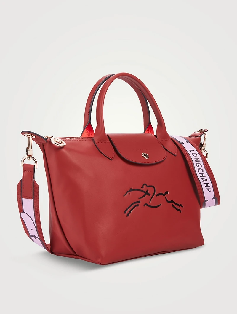 Le Pliage Xtra Leather Top Handle Bag