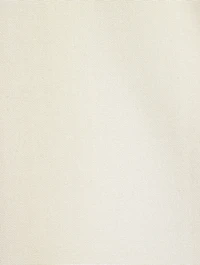 Silk Blouse With Lavallière