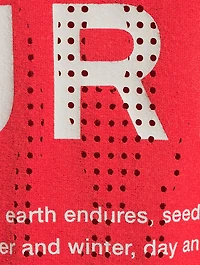 Cotton Logo T-Shirt