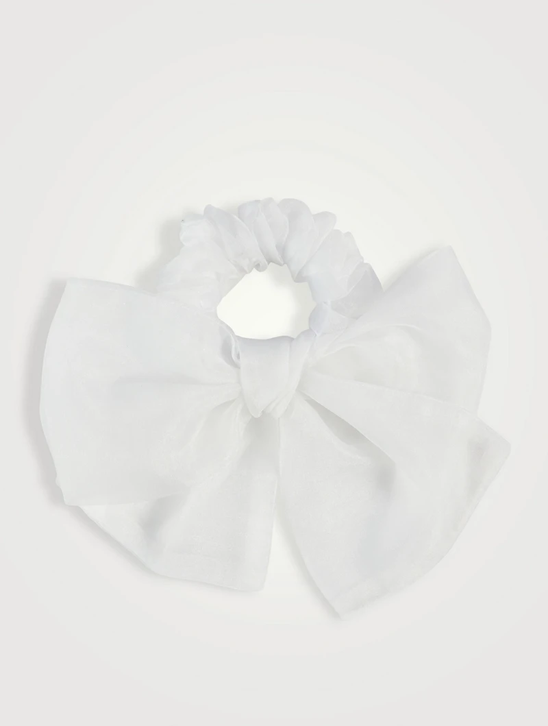 Chubby Organza Hair Bow