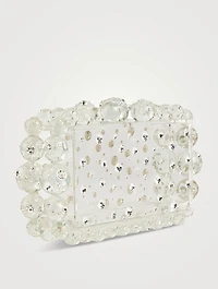 Eos Embellished Transparent Clutch