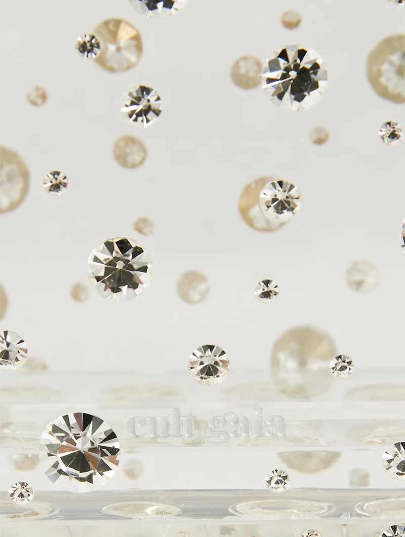 Eos Embellished Transparent Clutch