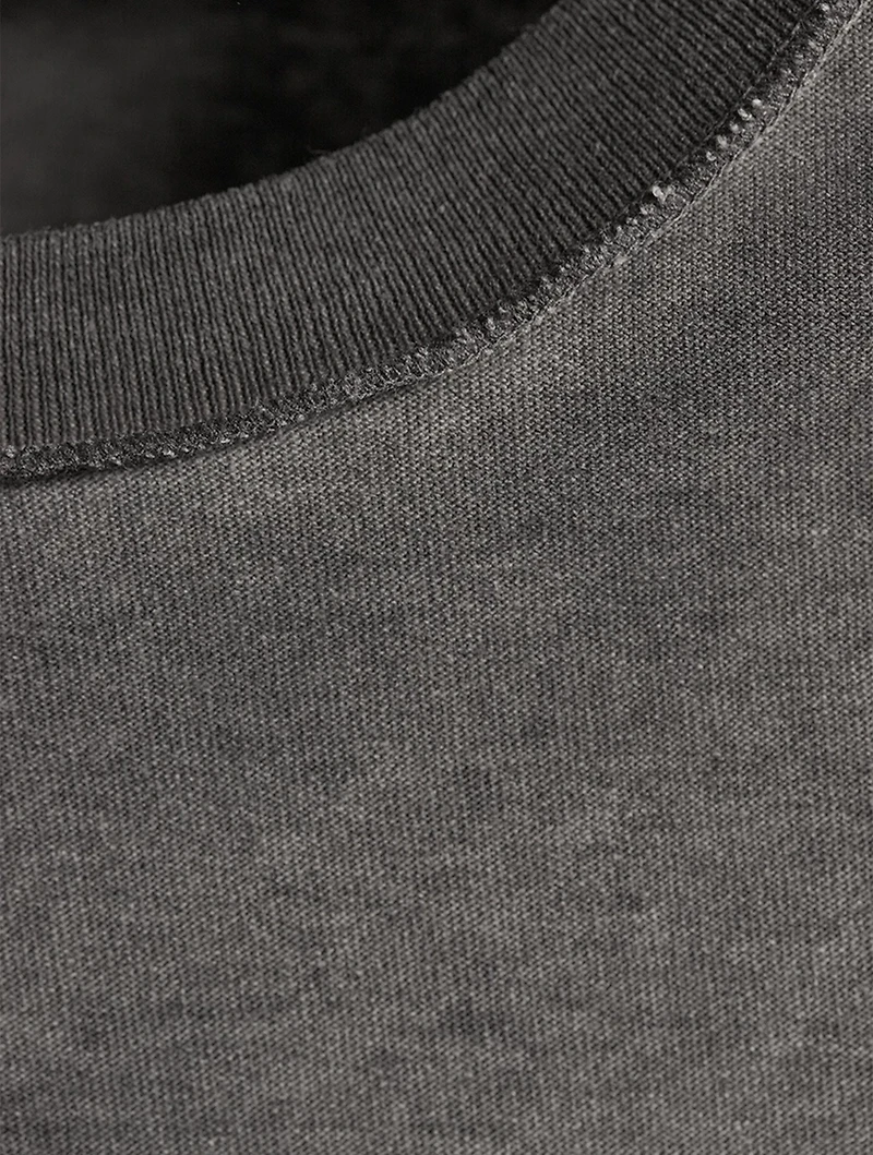 Phoenix Oil Wash Cropped T-Shirt
