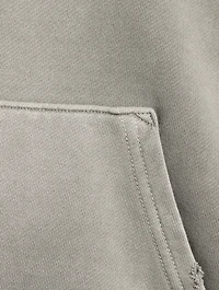 Folsom Cropped Raglan Hoodie