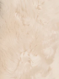 Parma Leather-Trimmed Shearling Jacket