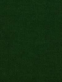 Penn Cotton Shirt