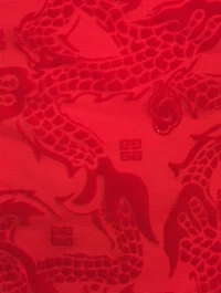 Tulle Dragon Jacquard Dress