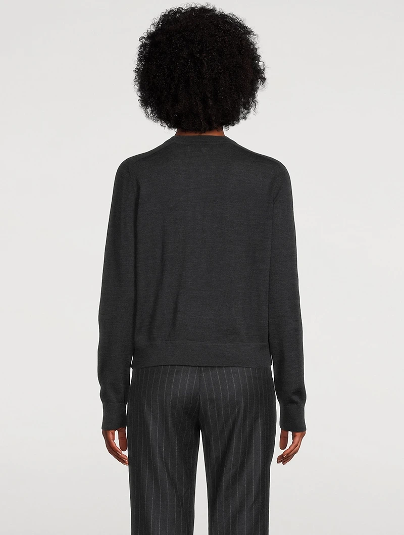 Theory Project Silk Georgette Sweater