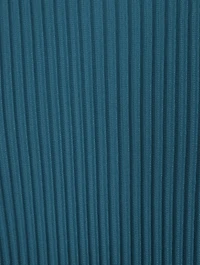 Tailored Pleats Vest