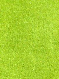Inez Fleece Shirt