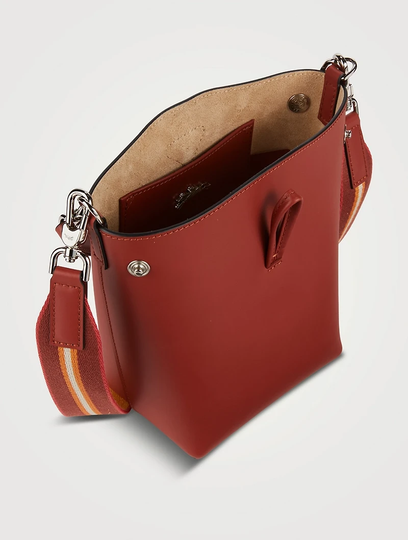 XS Roseau Leather Crossbody Bucket Bag