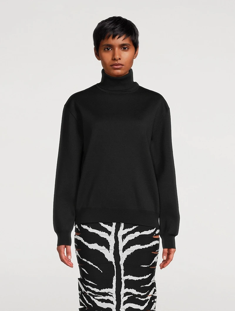 Turtleneck Sweater