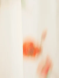 Chiffon Midi Skirt Blurred Poppy Print