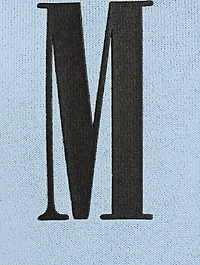 Core Logo Hoodie